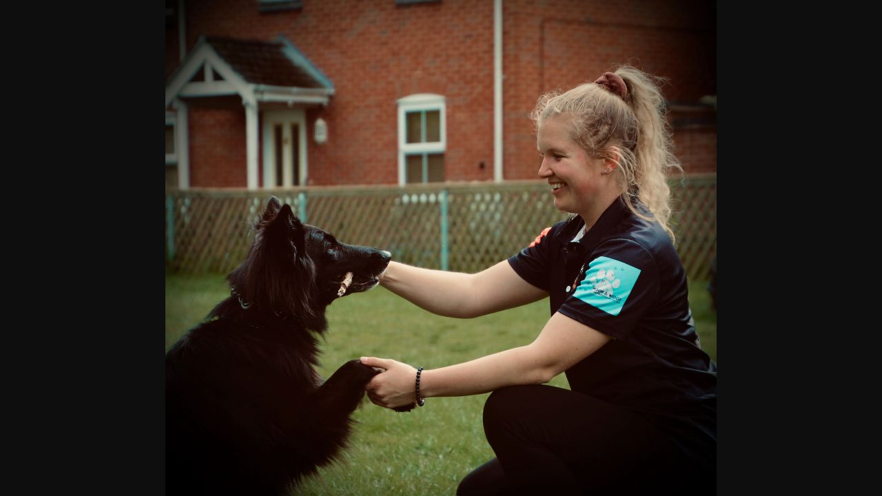 Jess interacting with a black shepherd-type dog during training
